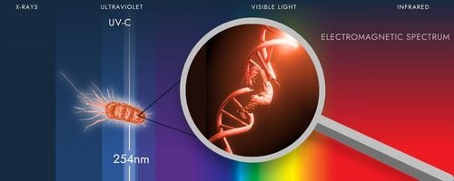 ultraviolet disinfection