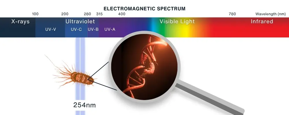 UV-C in the Electromagnetic Spectrum UV-C in the Electromagnetic Spectrum