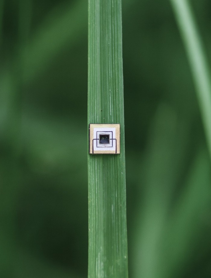 LED